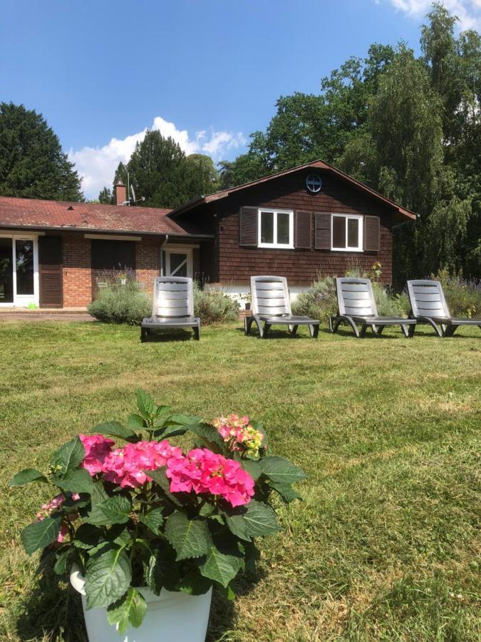 Le Domaine D'Olene Le Pin (Deux-Sevres) Exterior foto